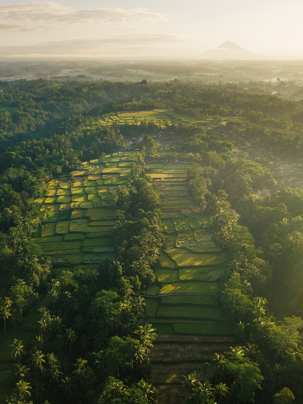 Ubud, Bali