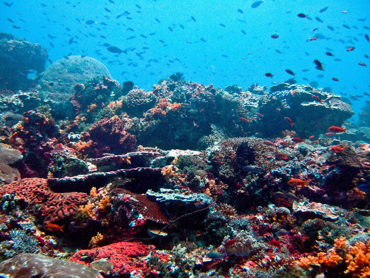 Nusa Lembongan, Bali