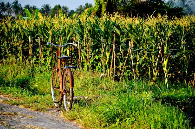 Bali bike