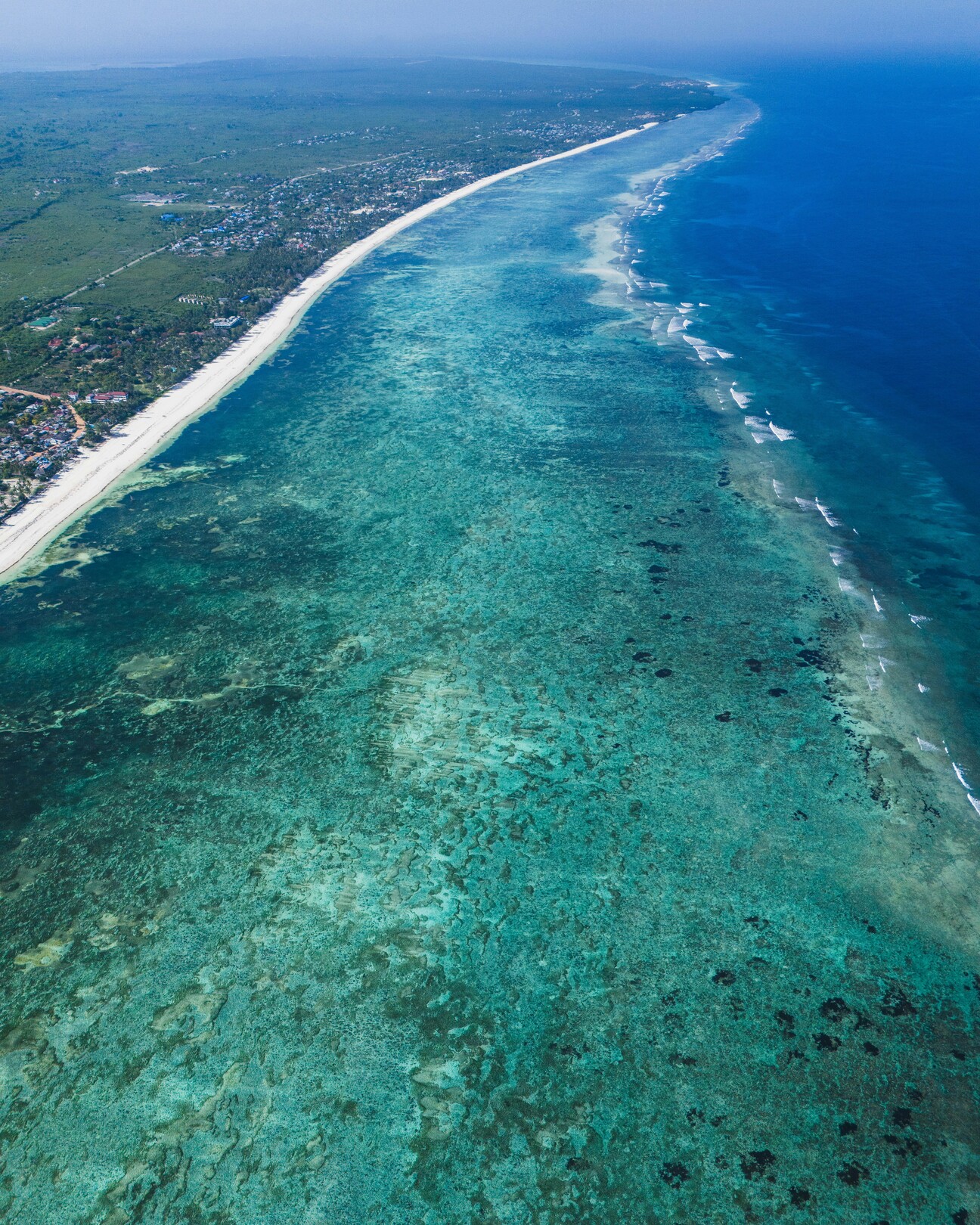 Zanzibar Coast Feature