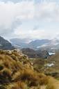 Cajas National Park