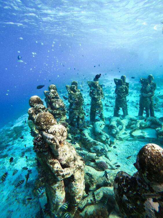 Gili Trawangan snorkeling