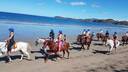 Horseback Tamarindo