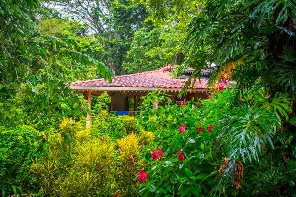 The Goddess Garden