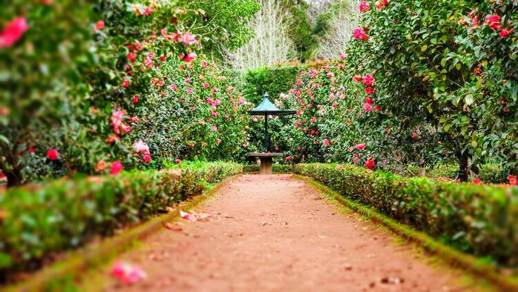 Terra Nostra Garden