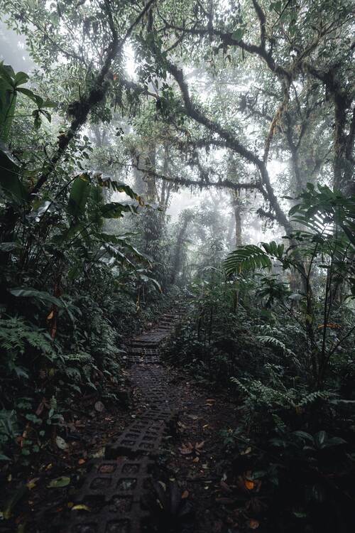Monteverde, Costa Rica