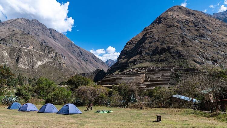 Inca Trail camping