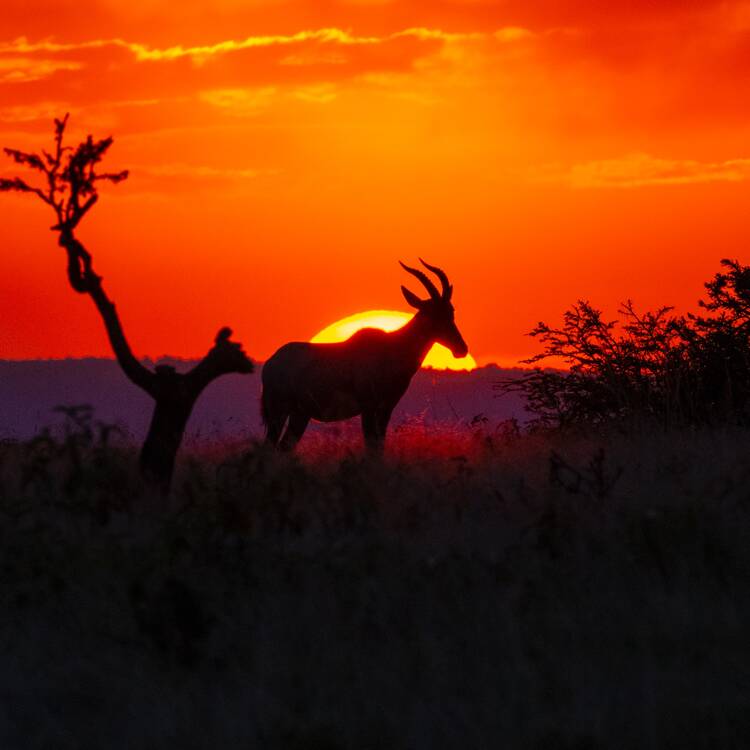 Kenya