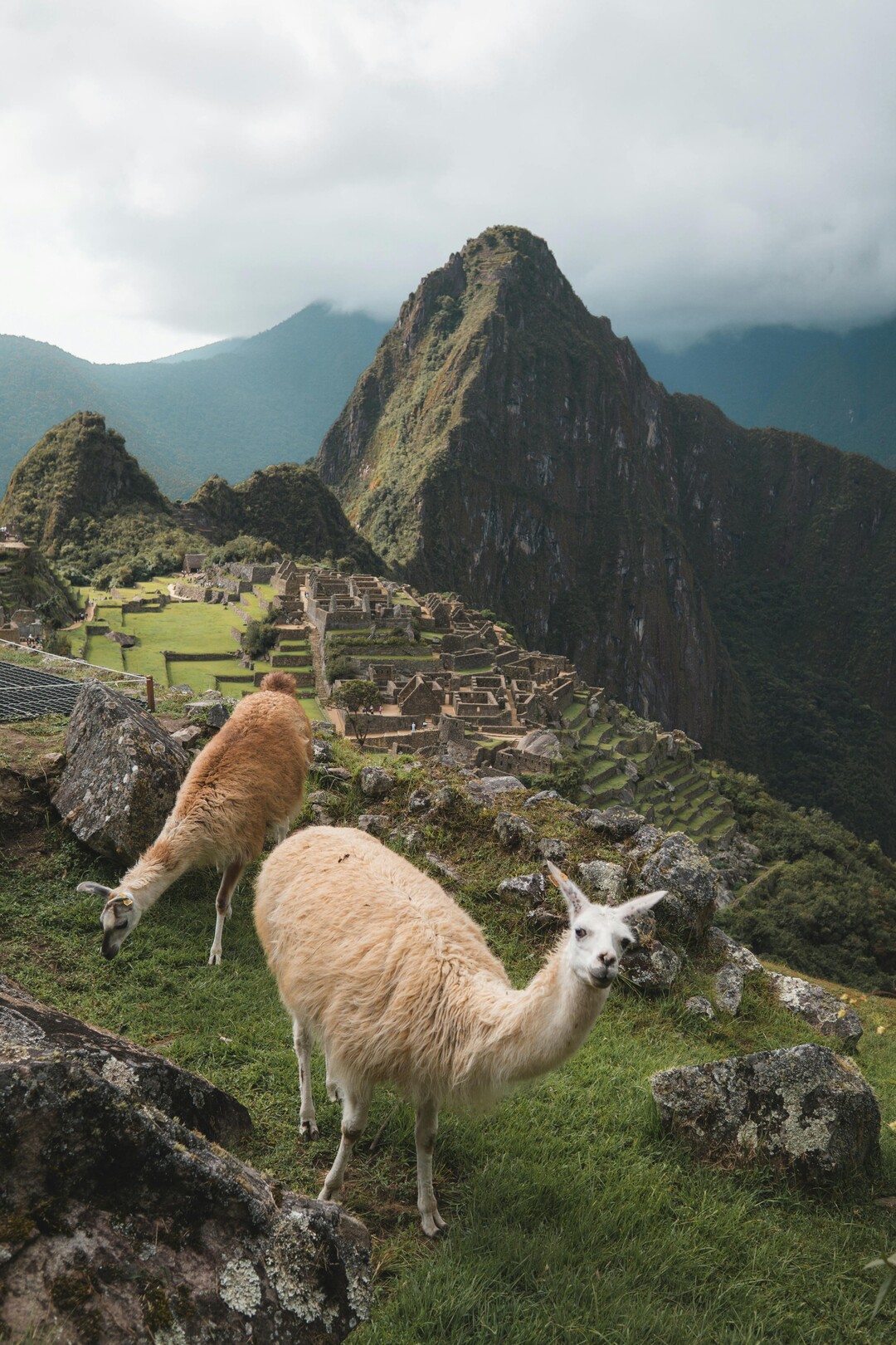 Machu Picchu