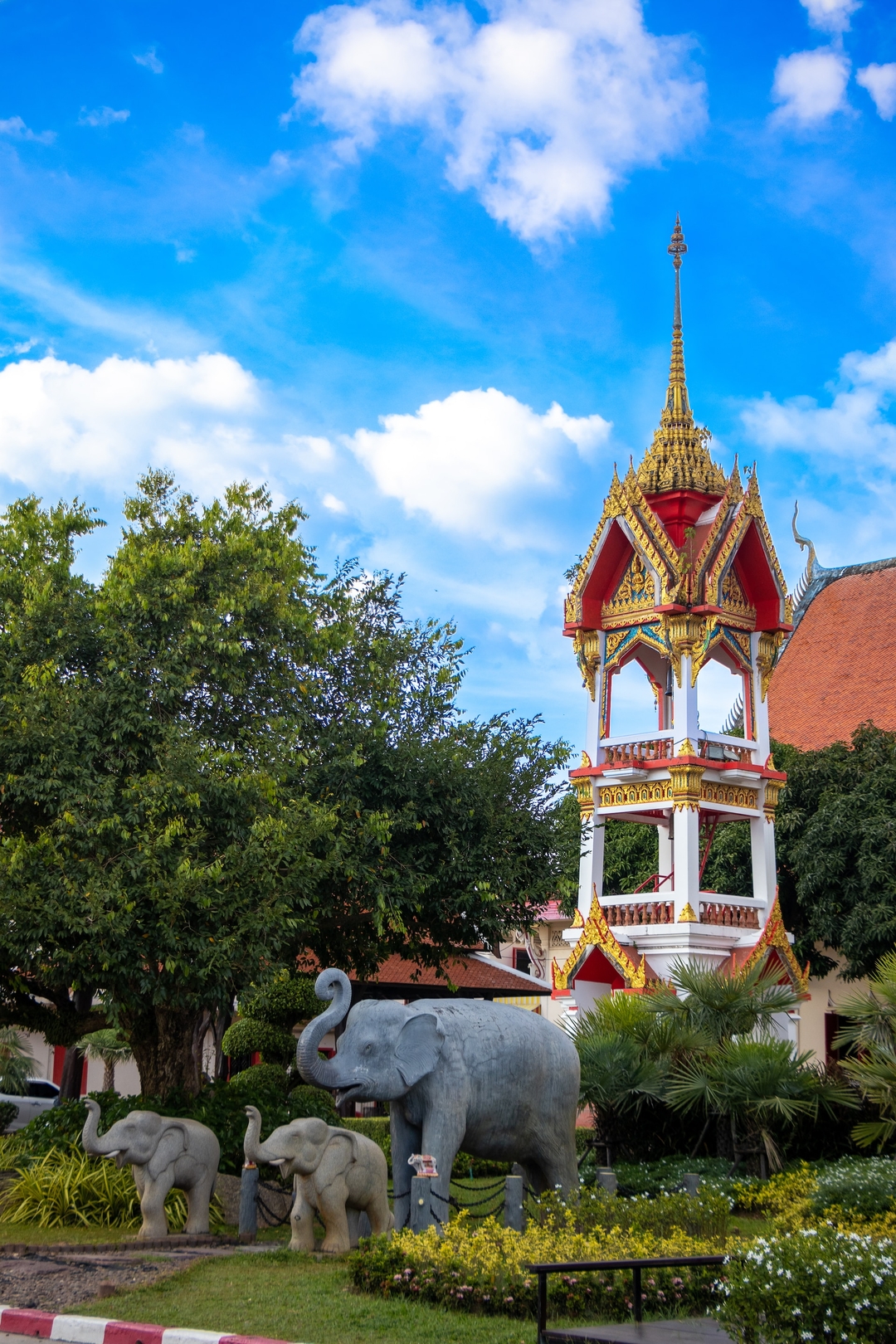 A Lovely Oasis in the Heart of Soi Taied Fighter's Street, Phuket -  Review of Fern House Retreat, Chalong, Thailand - Tripadvisor