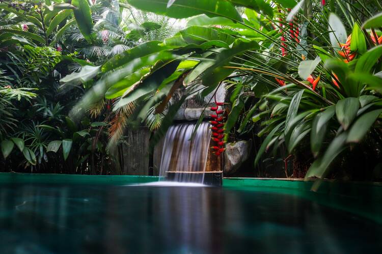 Paradise Hot Springs