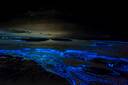 Add-on: Bioluminescence tour