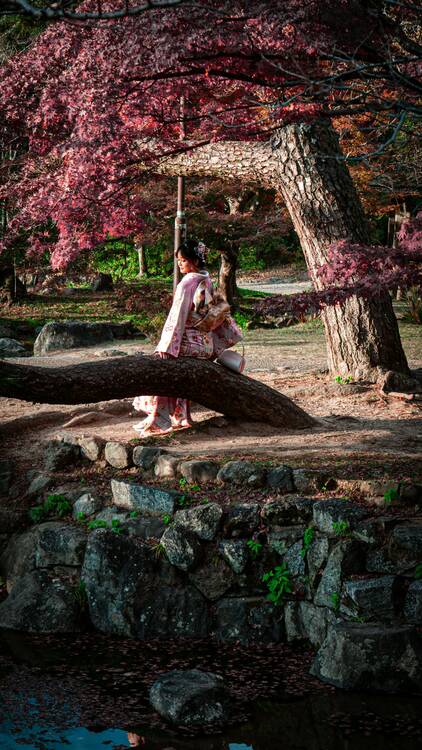 Maruyama Park, Kyoto