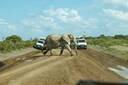 Amboseli national park