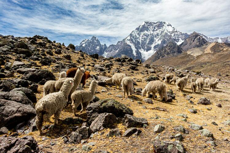 Ausangate trek