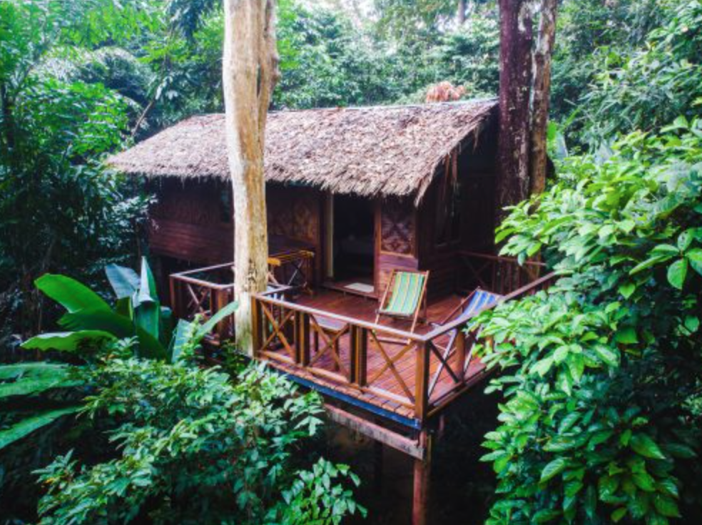 Our Jungle House Resort