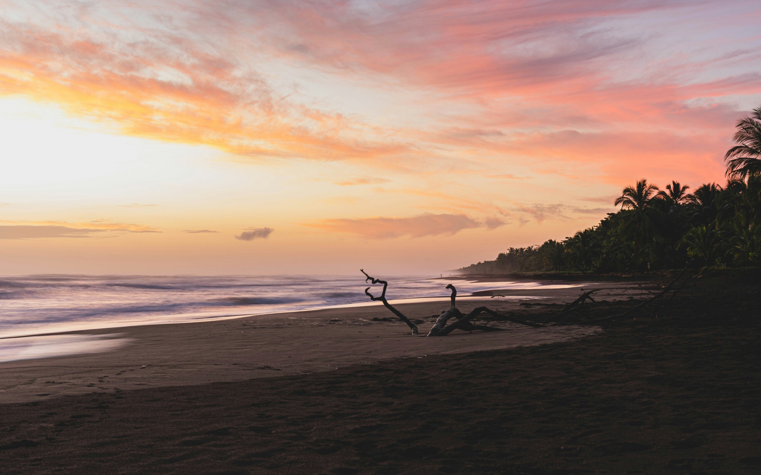 Tortuguero National Park