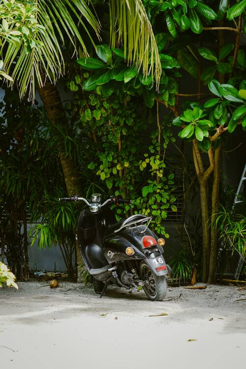 Bangkok scooter generic