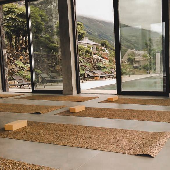Shamballah Yoga Retreats