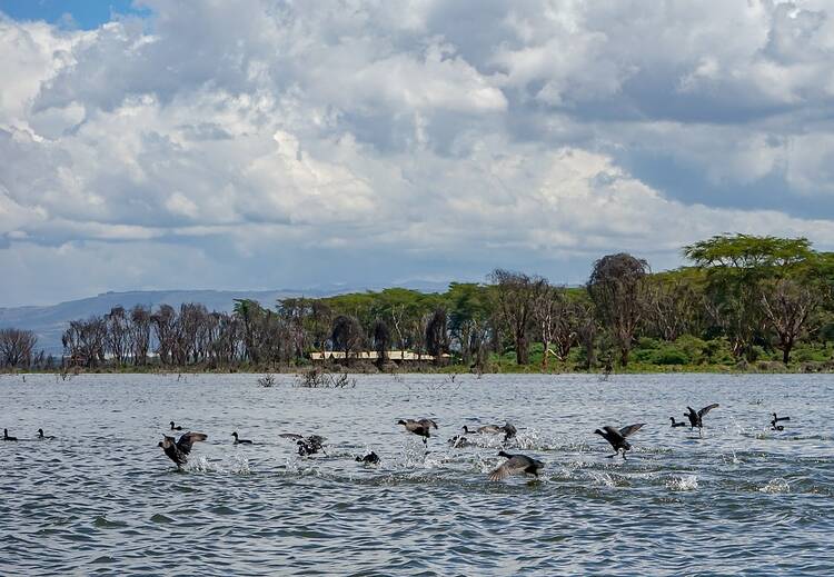 Lake Naivasha