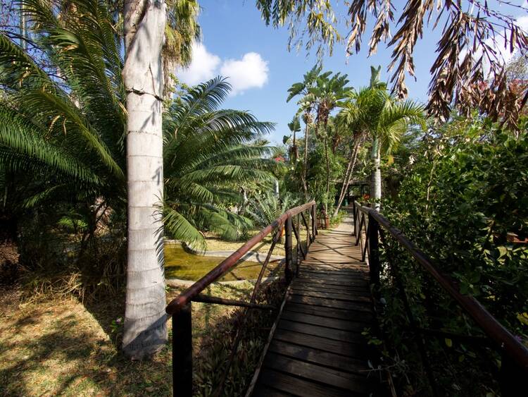 Tremisana Safari Lodge