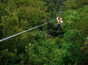 Canopy tour