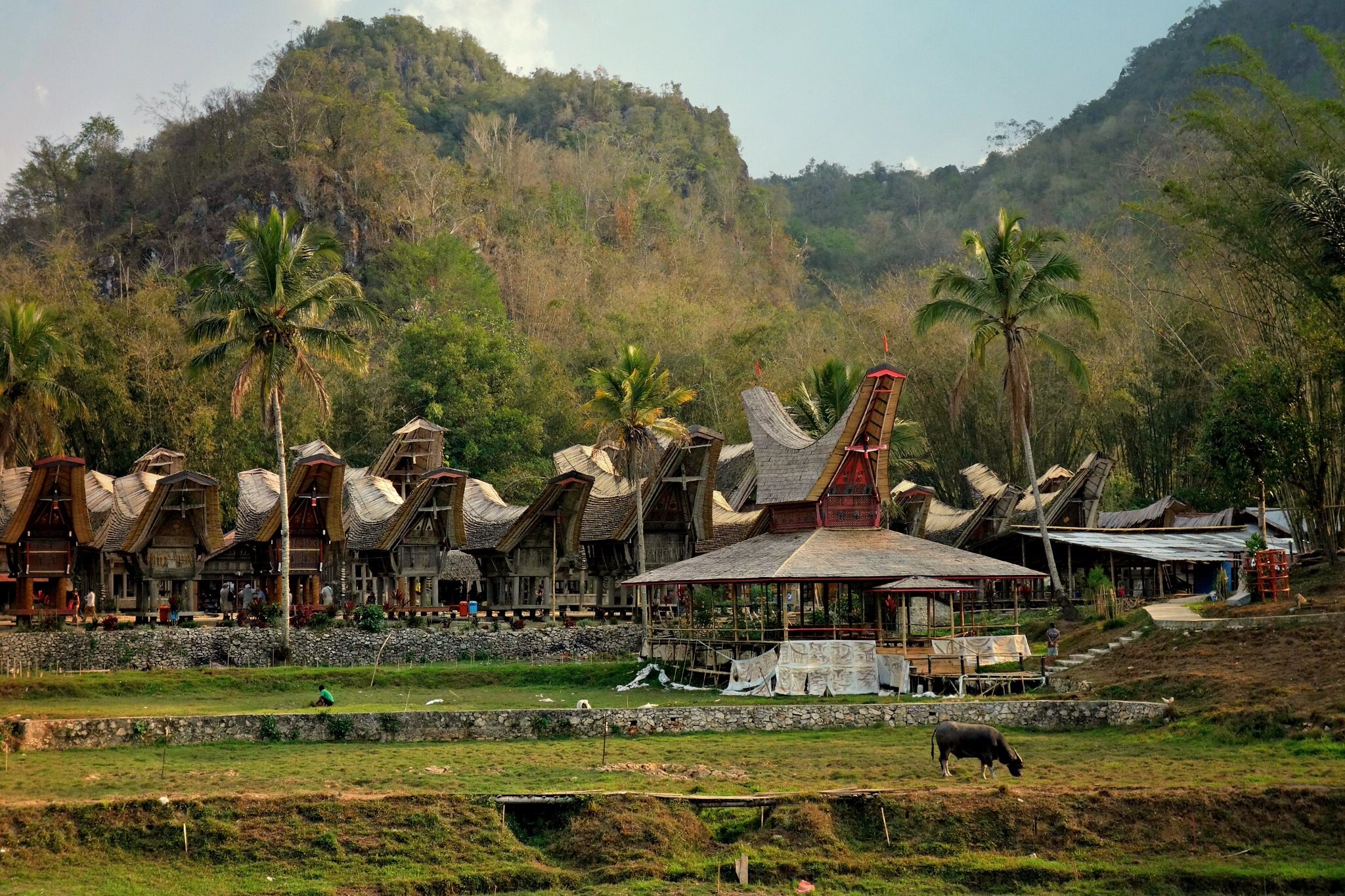 Kete Kesu feature, Indonesia