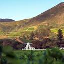 groot constantia wine estate cape town