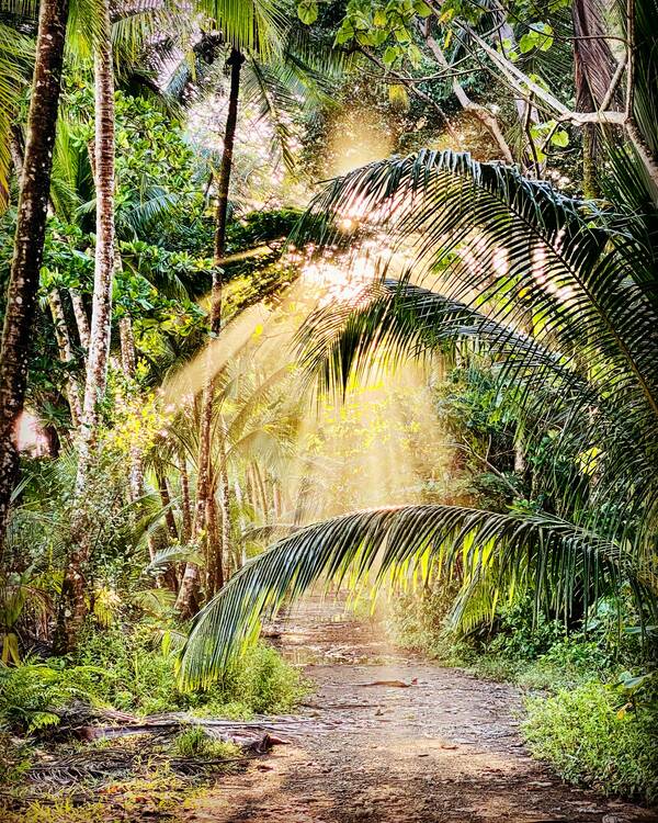 Marino Ballena National Park
