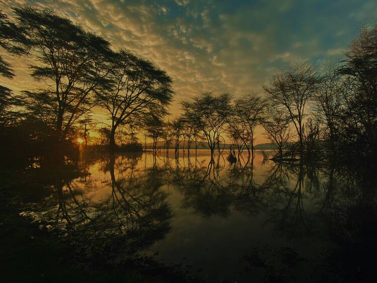 Naivasha