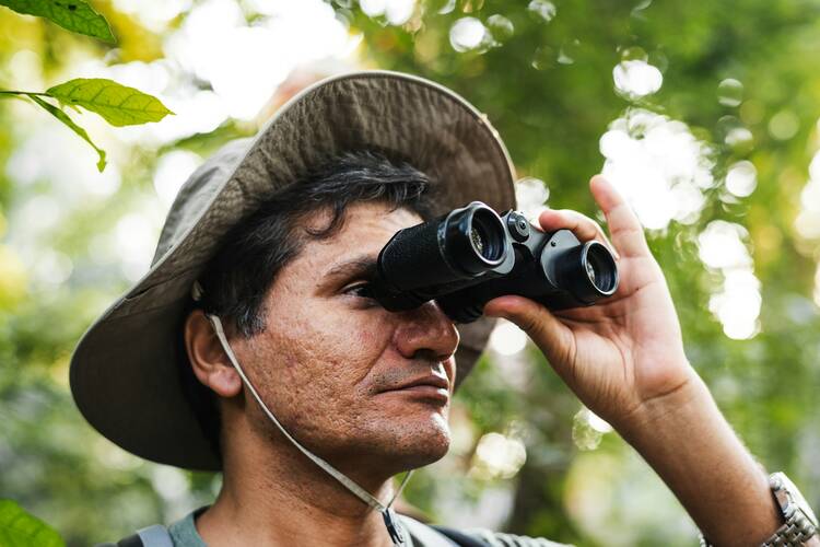Costa Rica Bird Watching