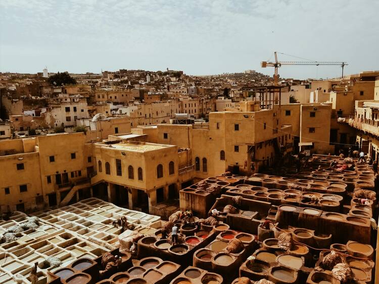 Fes welcome
