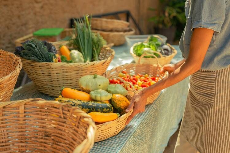 Farm to Table Lunch Costa Rica