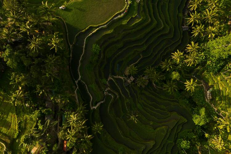 Tegallalang, Bali