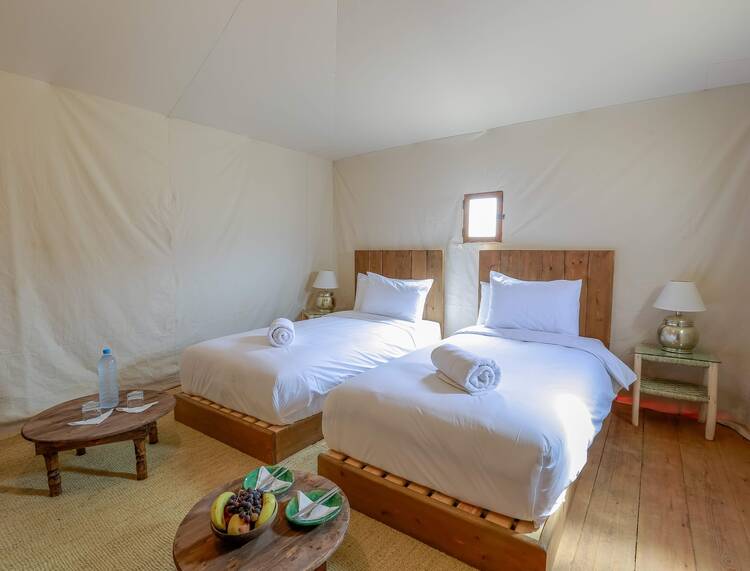 The White Camel Tent