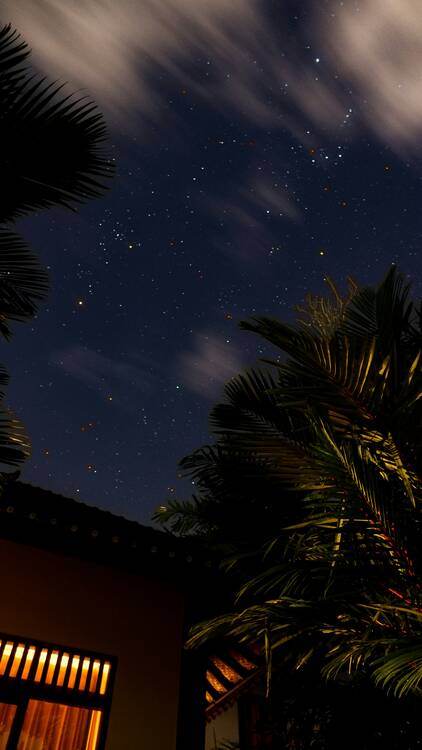 Ubud night