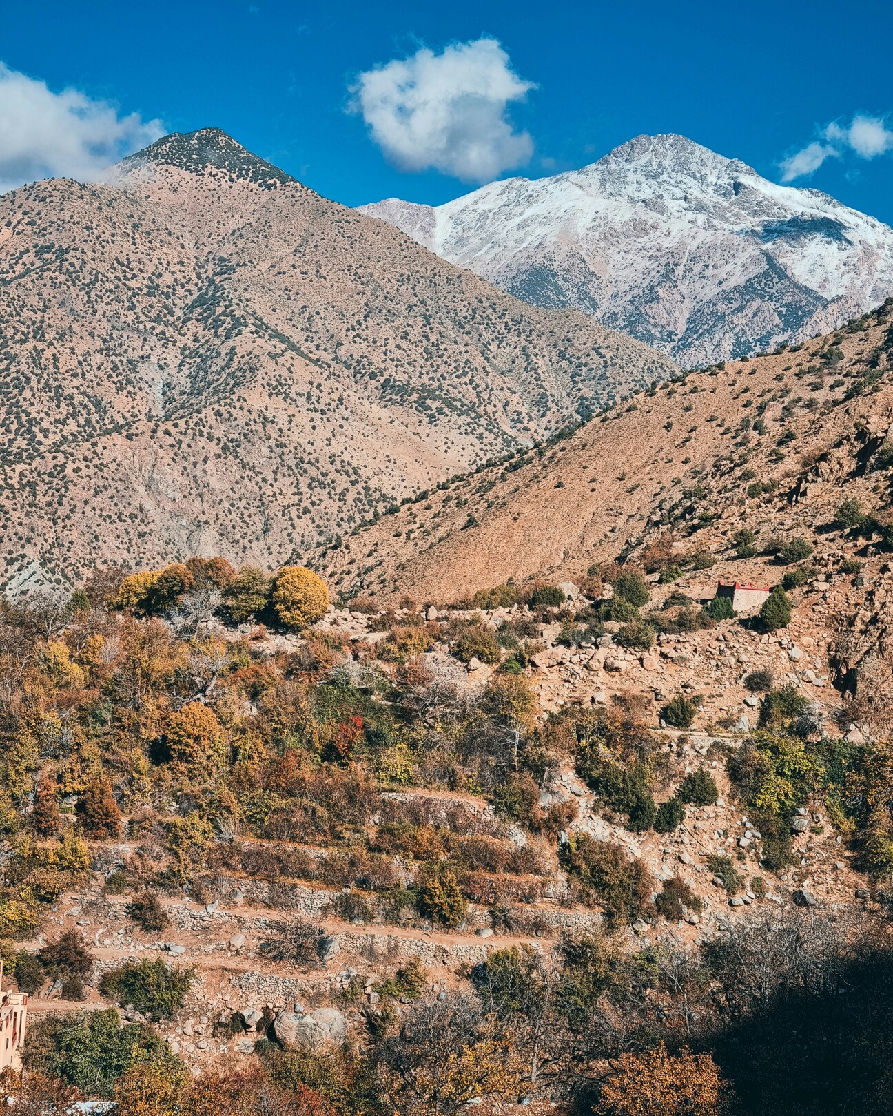 Ourika view - featured