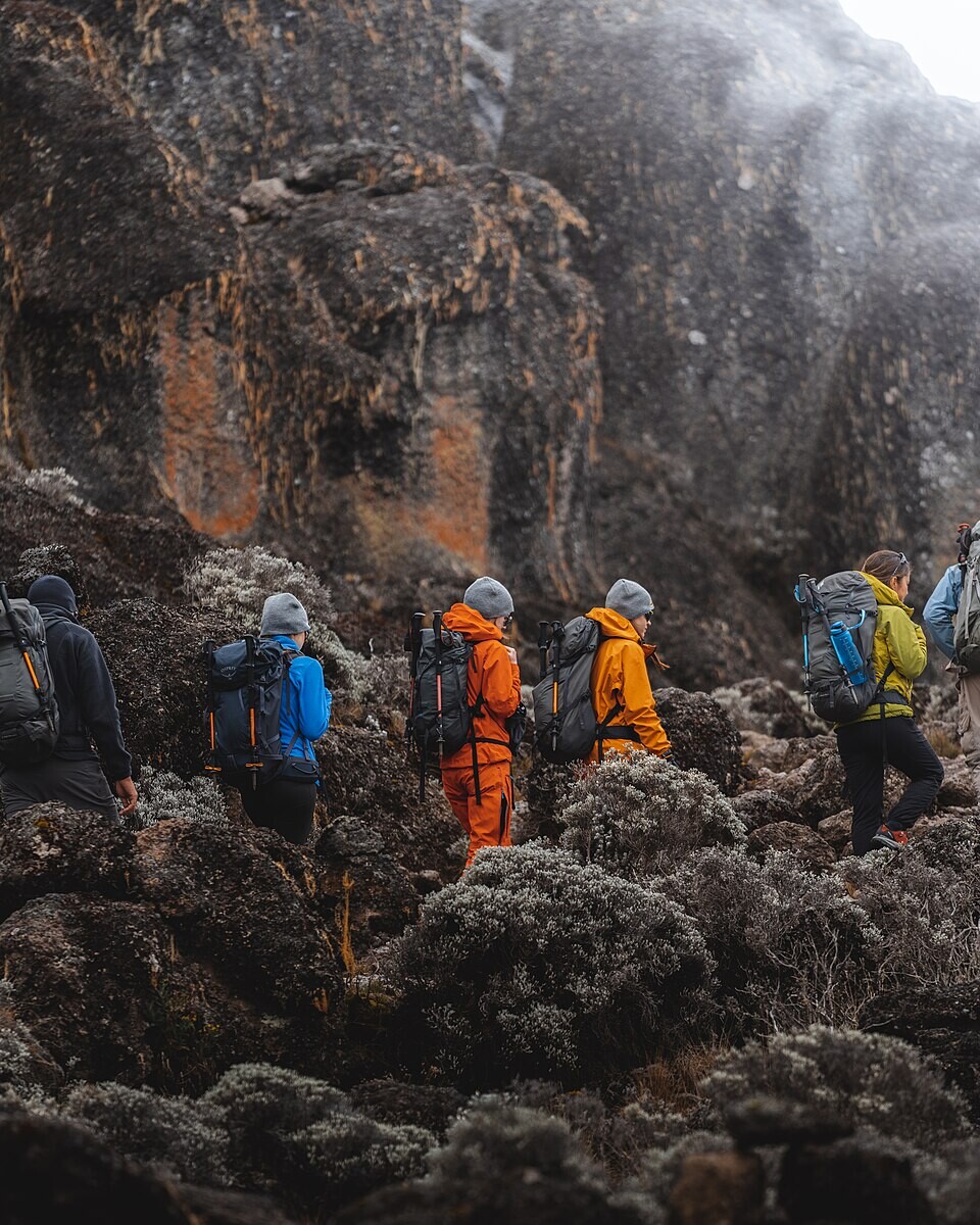 Kilimanjaro hike - Barranco Valley / Wall - feature