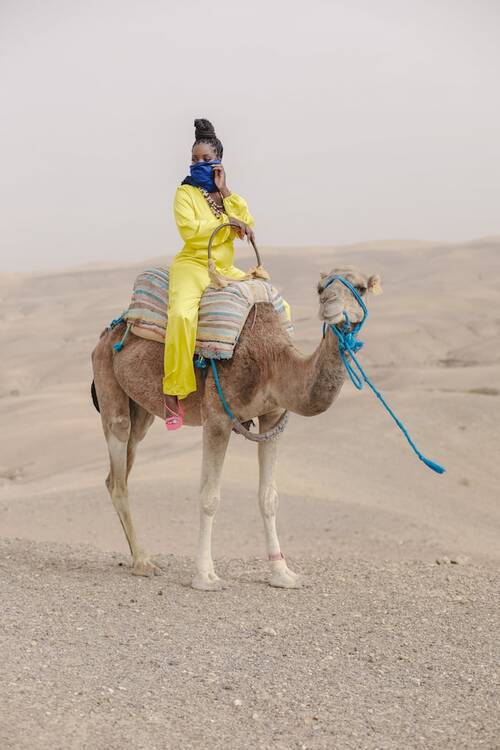 Camel ride--Agafay