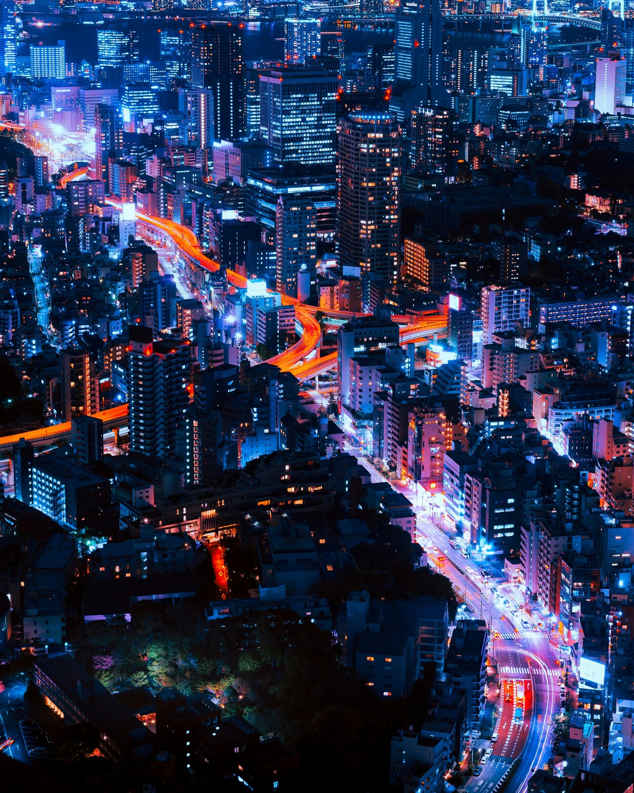 Tokyo at night feature