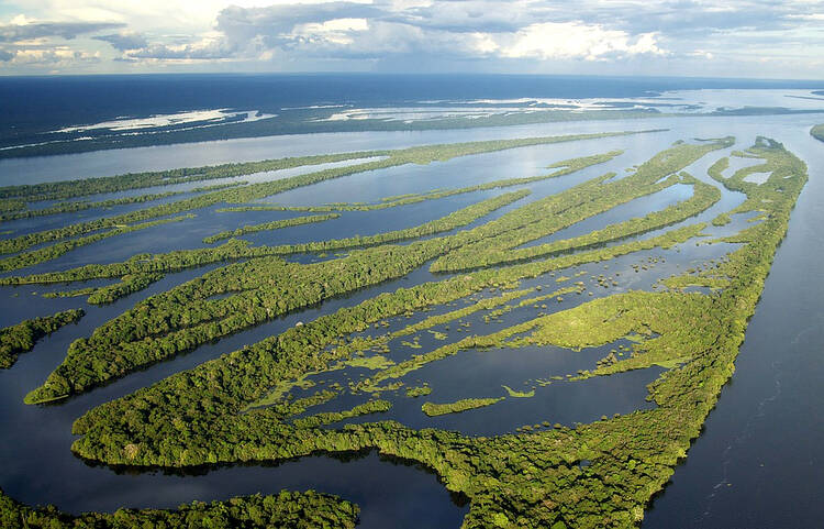 Rio Negro