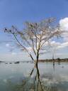 Lake Naivasha