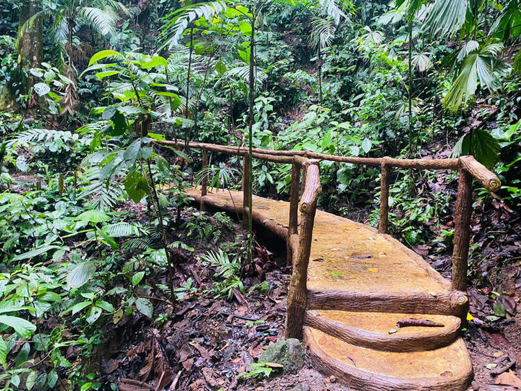 Wellness Park Nature Reserve & Ecolodge