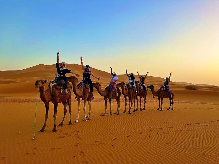 Jenn pic - Merzouga camel / Sahara