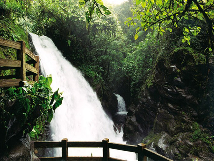 Pura Vida Retreat & Spa