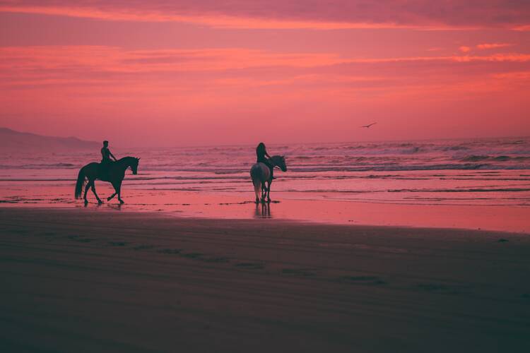 Add-on: Sunset horseback riding