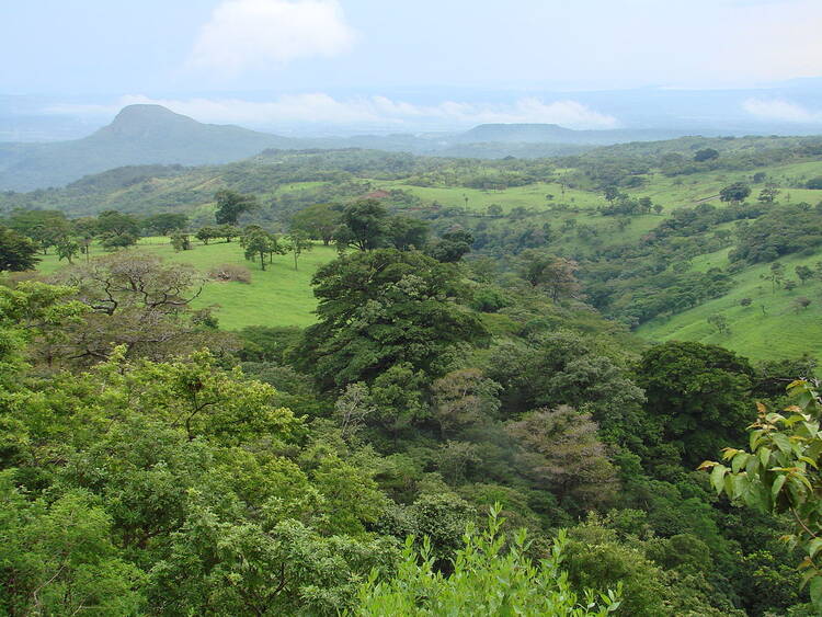 Guanacaste Arrival
