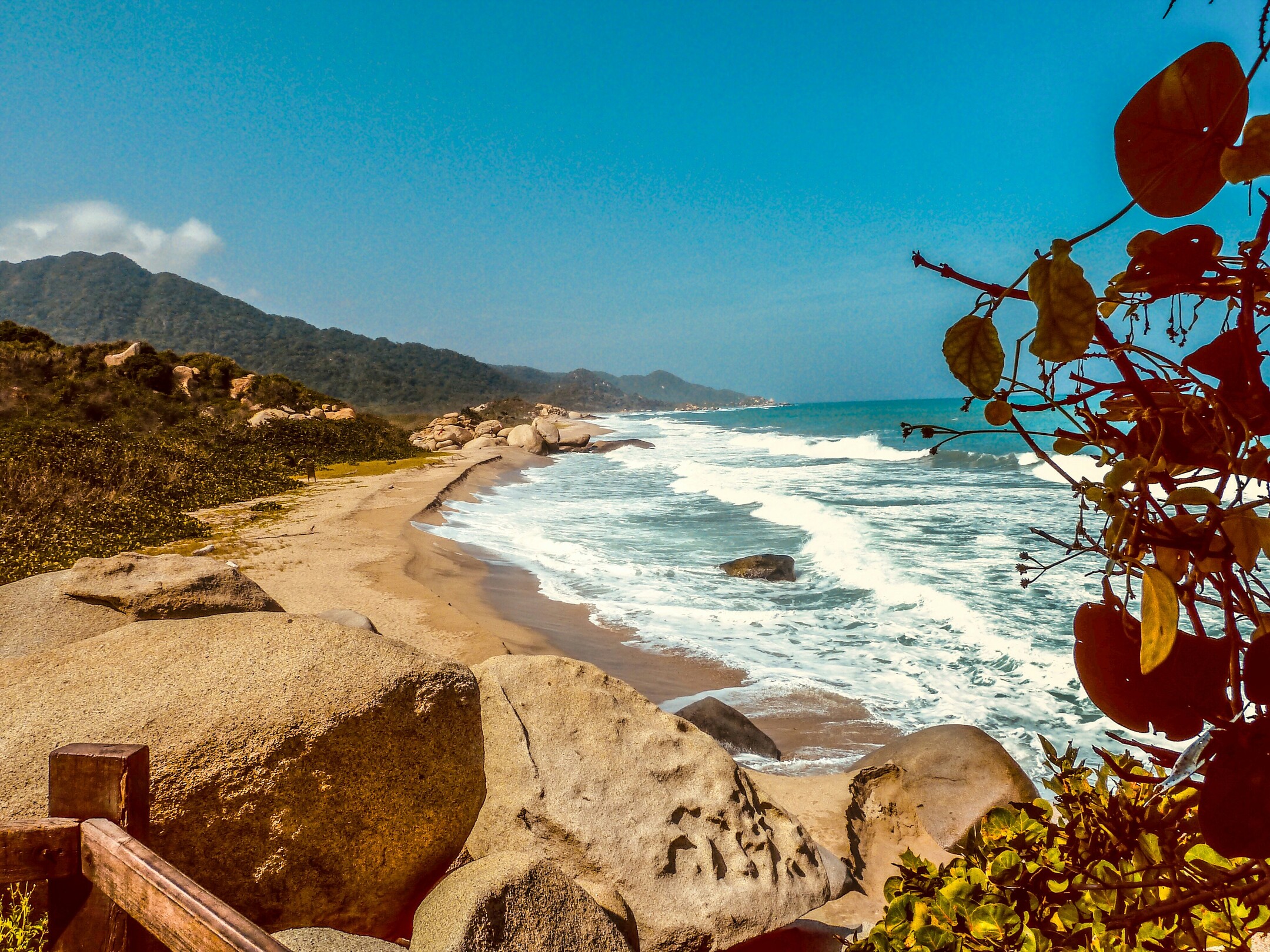 Tayrona