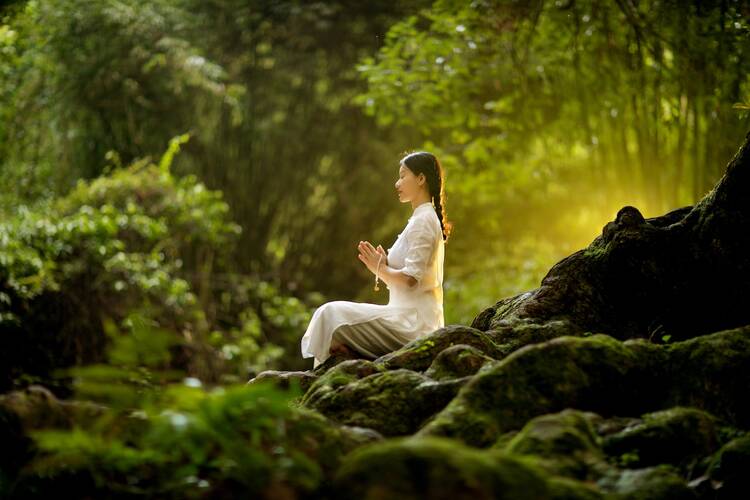 Forest meditation