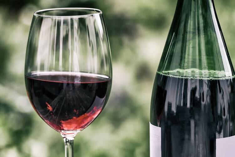 Ica Wine Tour